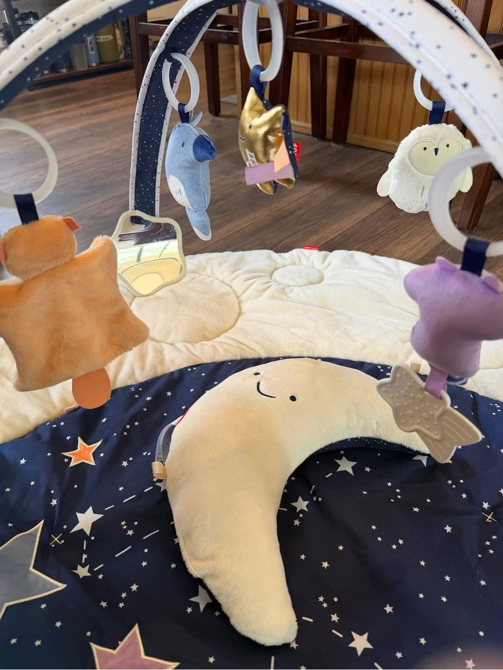 Skip Hop Celestial Dreams Play Gym / Tummy Time Mat & Moon Pillow